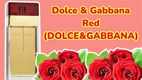 perfume dolce dolce gabbana resenha|authentic dolce gabbana perfume.